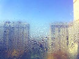 Auch beim duschen oder kochen oder wenn sie im wohnraum wäsche zum trocknen aufhängen besteht die gefahr von zu viel feuchtigkeit in der luft. Feuchte Fenster Trockenlegen So Klappt S