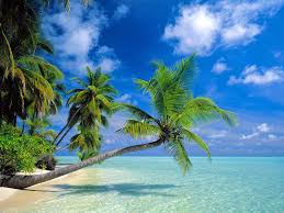 Beach Backgrounds For Computer Hd Background