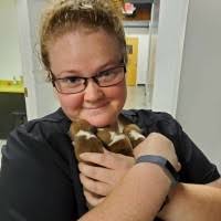 50+ "Abigail Reece" profiles