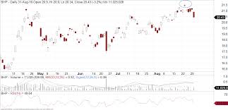 Warning Signs On The Bhp Chart Fairmont Equities