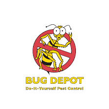 You can go down to home depot and buy a aside from these products, homemade remedies do exist for bugs such as ants. Distribution