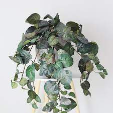 Check spelling or type a new query. Buy Fake Plants Online 13 Stores With The Best Faux Greenery Architectural Digest