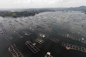 Harga Mati Kja Waduk Jatiluhur Harus Zero Republika Online