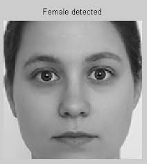 Back Propagation Neural Netwo Back Propagation Neural Network Based Gender  rk Based Gender Classification T Classification Techn