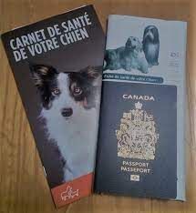 Le passeport vaccinal en débat. 5 Bonnes Raisons De Faire Vacciner Son Chien Passion Animo