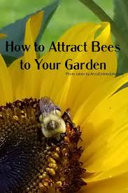 Check spelling or type a new query. How To Attract Bees To Your Garden