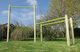 Barebonestemplate Bar Workout Garden Exercise Backyard Gym