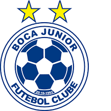 The significance of the logo is to help the reader identify the organization, assure the readers that they. Boca Juniors 12 Logo Download Logo Icon Png Svg