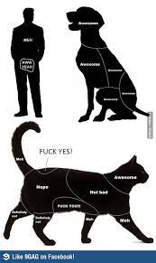 Pin On Humorous