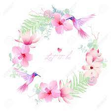 Vettoriale rosa sakura apple fiore fiore colorati cornice elegante pizzo con fiori variopinti svegli — vettoriali. Vettoriale Fiori Tropicali Delicate Con Volare Colibri Cornice Rotonda Vettoriale Tutti Gli Elementi Sono Isolati E Modificabili Image 43617508
