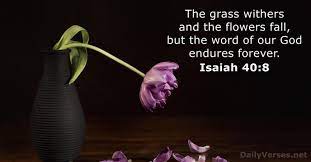 Isaiah 40 8 Bible Verse Dailyverses Net