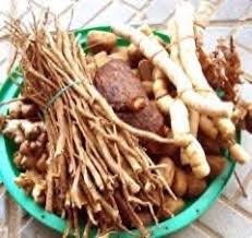 Image result for Corynanthe