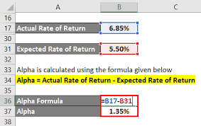 Creditul poate fi acordat in lei sau euro. Alpha Formula Calculator Examples With Excel Template