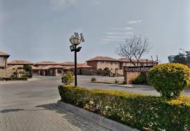 Image result for Stenostelma