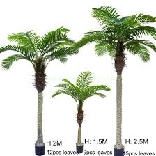 Top quality evergreen seedlings for sale, growing since the 1950's, one year guarantee* if you follow the instructions. China Indoor Decorative Artificial Potted Plant Wholesale Artificial Palm Trees Plant For Sale China Artificial Palm Plant Tree And Artificial Plant Tree Price
