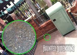Haunted Dimensions News Disney Trips Haunting Disney Vacations