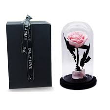 15% coupon applied at checkout save 15% with coupon. Forever Roses In Glass Dome Pink Preserved Roses Thanksgiving Gift