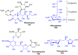 13 Examples For Ten Or More Carbon Monosaccharides Download Scientific Diagram