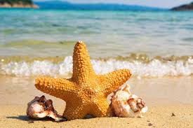During his summer vacation on nantucket island in 1942, a youth eagerly awaiting his first sexual encounter finds himself developing an innocent love for a young woman awaiting news on her soldier husband's fate in wwii. A Alegria Do Verao Diario Das Freguesias