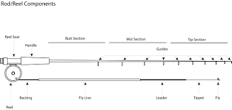 Basic Fly Fishing Rod Reel Line And Leader Information