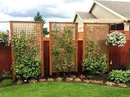 Tall Thin Trees For Landscaping Landscape For Front Of House Landscaping Kits Landscaping In 2020 Privacy Fence Landscaping Privacy Landscaping Backyard Fences