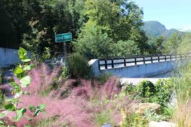 Check spelling or type a new query. Lake Lure Highway 64