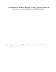 Image result for Pavetta pierlotii