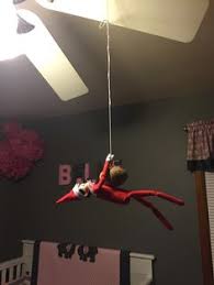 A potato flying around your room. A Potato Flew Around My Room
