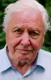 Saving our planet is a communications challenge. If enough people want  change and take action, a sustainable future is within our grasp., We  wanted to share our view