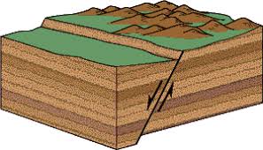 Great earthquakes that occur in subduction zones may give an earthquake focus but they actually break along hundreds of kilometers. Faults