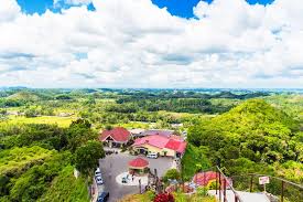 But if the chocolate hills are one of your main reasons for coming to bohol, then you may as well take your time. Bohol Philippines February 23 2018 View Of The Chocolate Hills On Sunny Day Editorial Photography Image Of Jungle Background 136037097