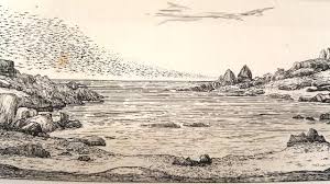 The cruise of 'The Freak'