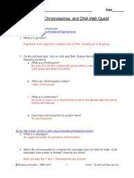 A case study of the effects of mutation: 03 Genome Chromosome And Dna Webquest 2 1 Chromosome Karyotype
