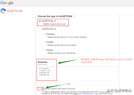 接入谷歌Google人机验证：reCaptcha进行安全验证