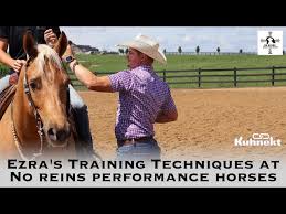 Different Training Techniques at No Reins Performance Horses