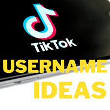 Tiktok names 800+ tiktok usernames ideas. 200 Tiktok Username Ideas And Name Generator Turbofuture
