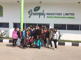 Image result for greenply logo