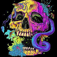 Pin On Skulls And Roses