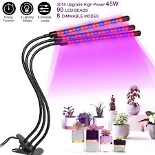 Pin On Plant Grow