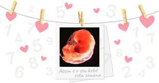 8 Semanas De Gravidez O Meu Bebe