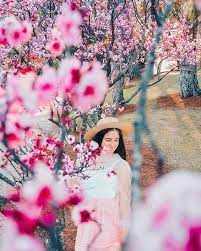 Paris Thoughts She Has That Certain Je Ne Sais Quoi Sydney Spring Flowergram Sydney Insta Sydneys Sydney Style Instagram Pictures Photo Spots