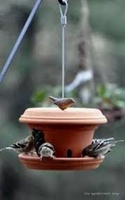 Birds Blooms Magazine Customer Service Choosing Plants To Entice Birds And Butterflies To Your Yard Bird Feeders Diy Bird Feeder Diy Birds