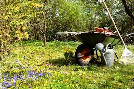 More images for caja de herramientas para jardineria » 6 Herramientas Basicas Para Un Buen Jardinero Quercus Jardiners