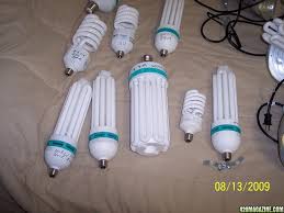 Although the 150 watt hps is a bit more efficient that the. Cfl Gets Bigger And Bigger 420 Magazine