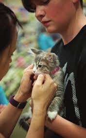 Little Man Finds Love in Colorado