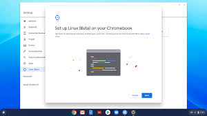 Download cd/dvd images with bittorrent. How To Enable Linux On Chrome Os To Install Debian Packages