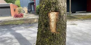 Gut geschützt ist halb gefällt. Axt Angriff Baum In Kamen Wurde Stark Beschadigt Anzeige Erstattet