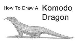 Faire arbeitsbedingungen und ökologische herstellungsverfahren. How To Draw A Komodo Dragon Youtube