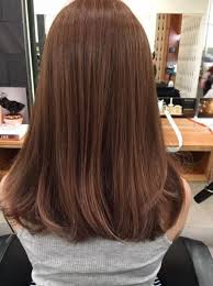 Hair Color Korean Shades Ideas Ash Hair Color Hair Color Chocolate Korean Hair Color