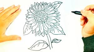 Pedicure diseños juvenil y fáciles para realizar desde casa tienes tutoriales tanto estilo profecional paso a paso como faciles y hermosos diseños de pedicura o pedicure facil y rapido. Flor Facil De Dibujar Paso A Paso Flores Facil Pedicure Cute766